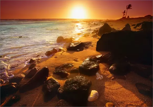 Rocky Shoreline, Hawaii, Usa