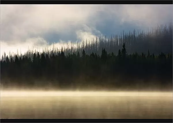 Foggy Mountain Lake At Sunrise