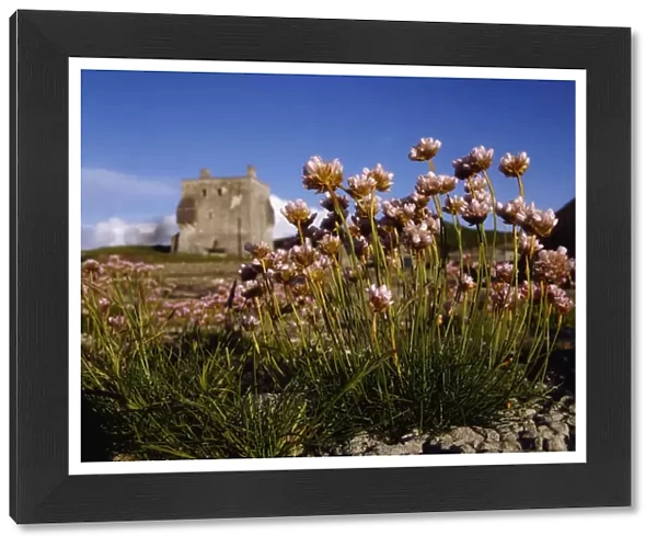 Kildownet Castle, Achill Island, Co Mayo, Ireland; Grace O malleys Castle