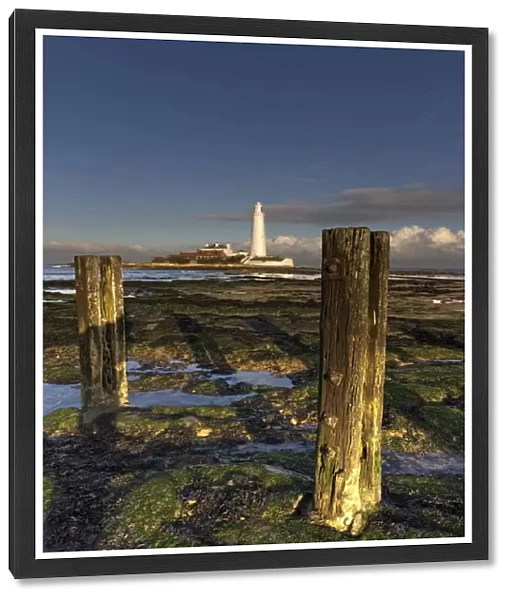 Wooden Posts And Lighthouse In Distance; Whitley Bay, Northumberland, England