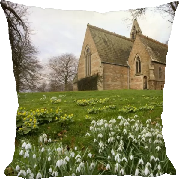 White Flowers With A Small Church In Background; Northumberland, England
