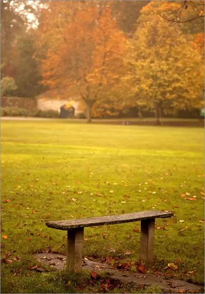 Northumberland, England; A Bench In A Park In Autumn