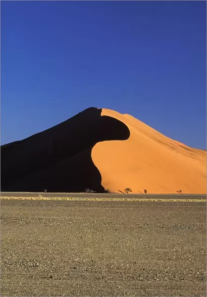 Sand Dune And Field