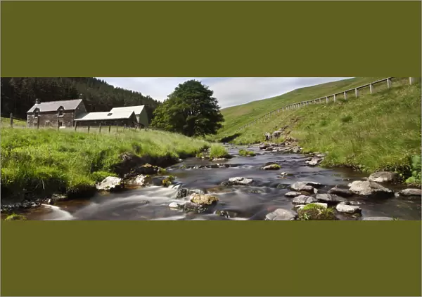 A Creek Running Past Houses; Cheviot Hills, Northumberland, England