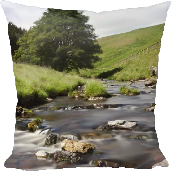 A Creek Running Past Houses; Cheviot Hills, Northumberland, England