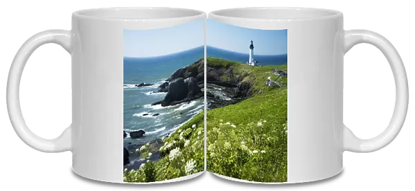 USA, Oregon, Yaquina Head Historic Lighthouse And Natural Wilderness Area; Newport