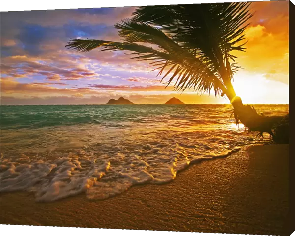 USA, Hawaii, Lanikai Beach at sunrise; Oahu