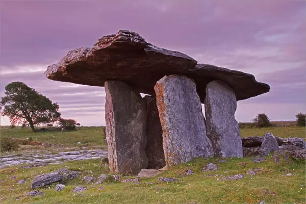 Poulnabrone Portal Dolmen In The Burren Region; County Clare, Ireland