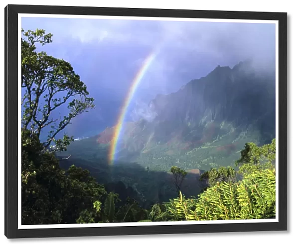Hawaii, Kauai, Rainbow Over Kalalau Valley, Misty Clouds, Trees And Growth On Mountains