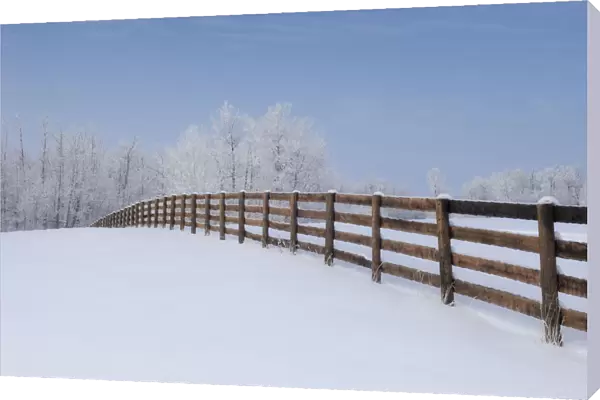 Fence In A Winter Wonderland, Strathcona County, Alberta