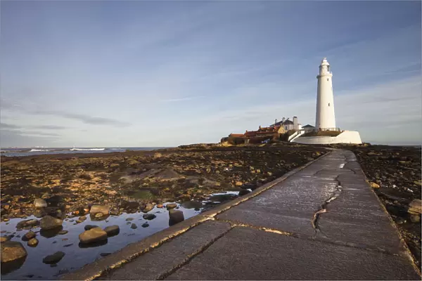 Paved Path To The Lighthouse On St. Marys Island; Northumberland England