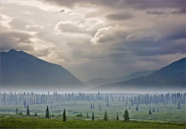 Atmospheric Scenic Of Broad Pass And Boreal Forest With Smoke From Wildfires Settling In Valley, Southcentral Alaska