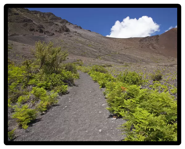 Hawaii, Maui, Haleakala, The hiking trail through the Volcanic Crater