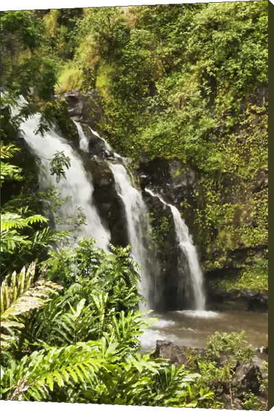 Waterfall; Hana, Maui, Hawaii, United States Of America