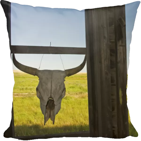 Cow Skull Hanging From An Old Window Frame With An Abandoned Grain Elevator In The Background, Ghost Town Of Bents, Saskatchewan