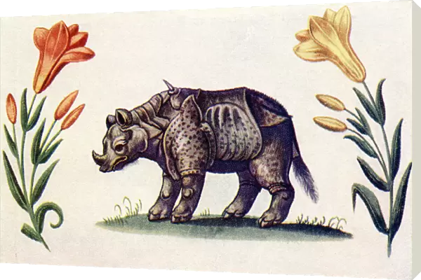 Rhinoceros. After An Illustration From The Livre D amis Of Marguerite De Valois In The Illustrated London News, Christmas Number, 1933