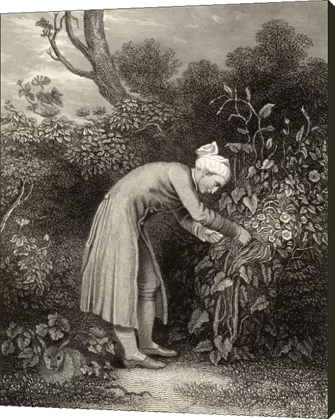 William Cowper, 1731-1800 Cowper In His Garden. Enlgish Poet. 19Th Century Print From An Original Drawing By G. H. Smith
