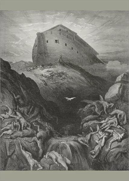 Engraving From The Dore Bible Illustrating Genesis Xiii 8 And 9 The Dove Sent Forth From The Ark By Gustave Dore 1832-1883 French Artist And Illustrator