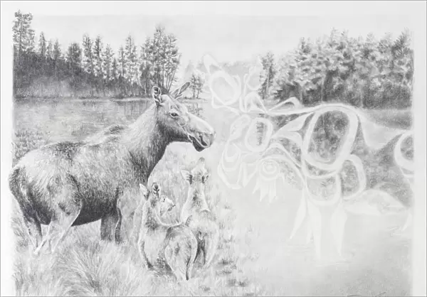 Graphite drawing of moose family