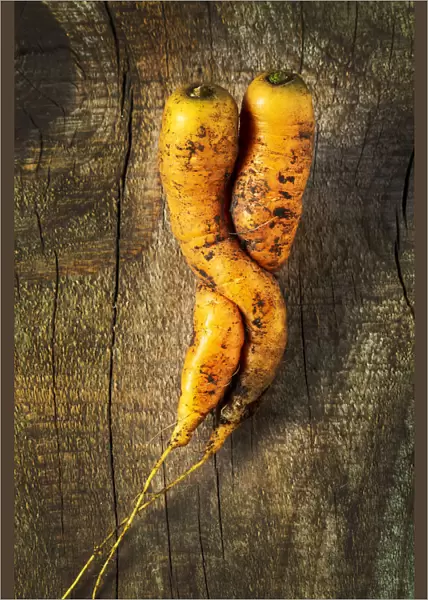 Two carrots intertwined