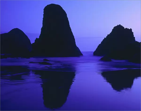 Seal Rock, Pacific Coast, Oregon, USA