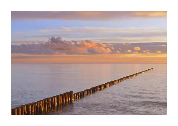 Groyne at Sunrise, Baltic Sea, Zingst, Darss, Fischland-Darss-Zingst, Mecklenburg-Western Pomerania, Germany