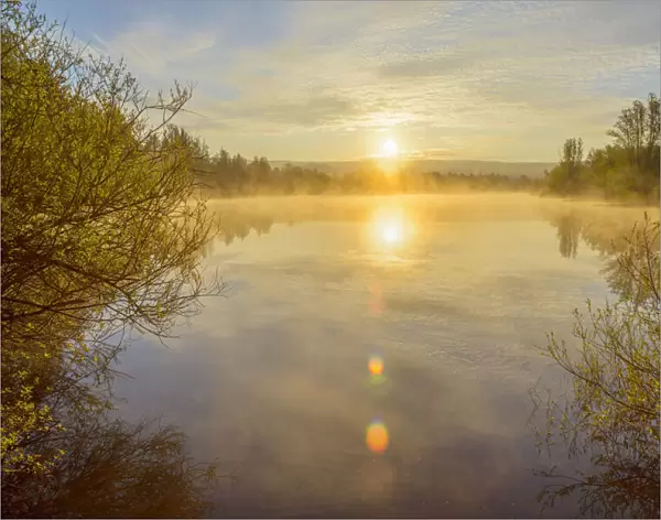 Bright sun reflected in lake with morning mist at sunrise in Mondfeld, Wertheim in Baden-Wurttemberg, Germany