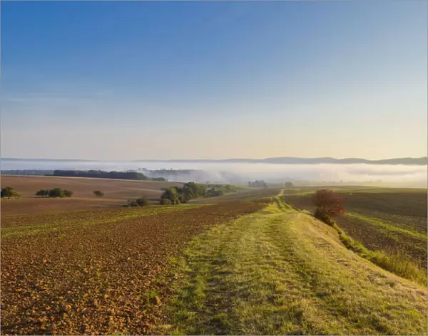 Countryside with pathway and morning mist over the fields at sunrise in the community of Grossheubach in Bavaria, Germany