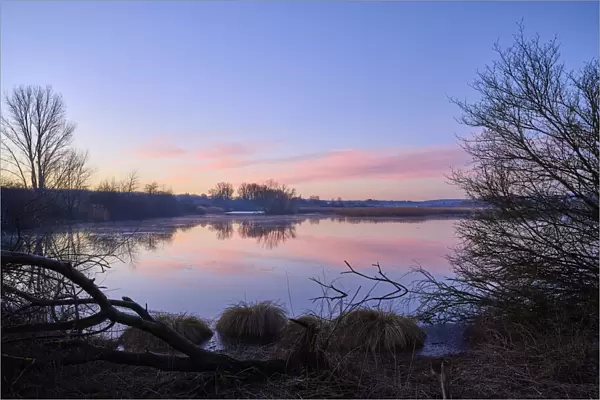 Lake at sunrise, Reinheim, Hesse, Germany