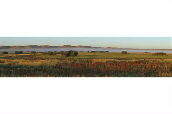 Panoramic Of Misty Morning In The Frenchmen River Valley Of Grasslands National Park; Saskatchewan Canada