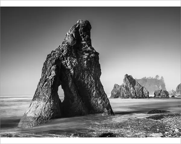 Black and white image of sea stacks and Abbey Island at Ruby Beach in the Olympic National Park, on the Washington Coast; Forks, Washington, United States of America