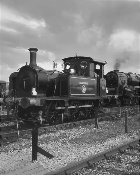 People viewing the Bluebell steam engine and 92203 engine; England