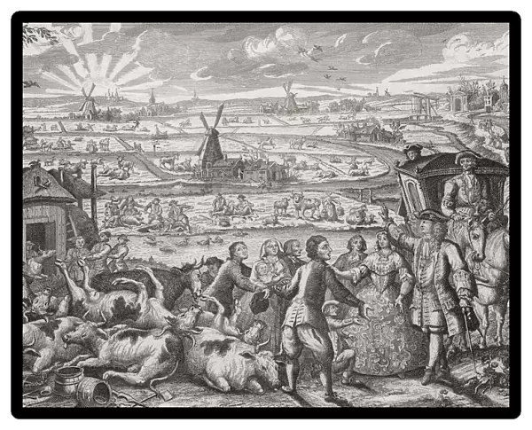 An outbreak of rinderpest in Holland in 1745: farmers and a landlord in discussion in front of a pile of dead cattle. Rinderpest, an infectious viral disease which spread amongst livestock herds with high mortality rates has only in the 21st century been eradicated. After a contemporary work by Dutch engraver Jan Smit; Illustration