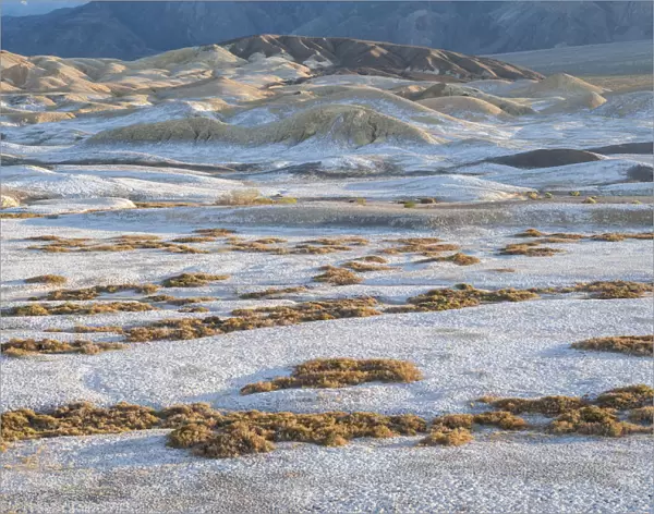 Salt deposits, Salt Creek Trail, Death Valley National Park, California