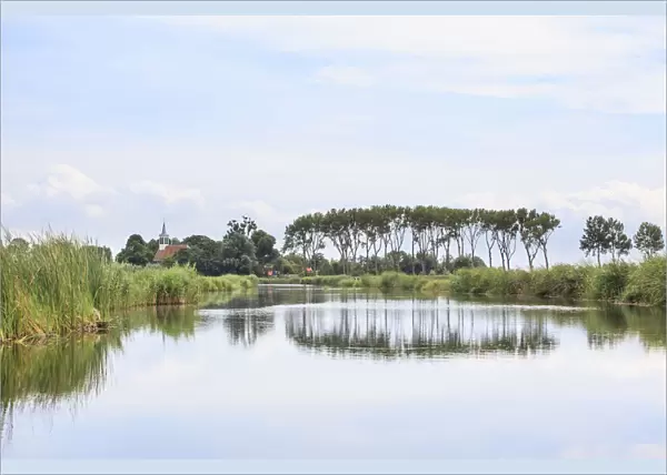 Summer view on polder landscape with trees with reflections in water