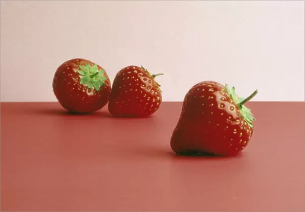 CS_FV166. Fragaria x ananassa. Strawberry. Red subject. Red b / g
