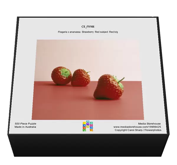 CS_FV166. Fragaria x ananassa. Strawberry. Red subject. Red b / g