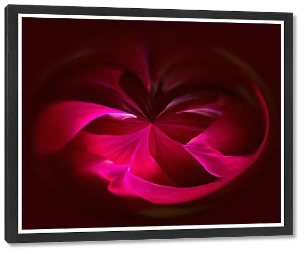 Dahlia, abstract deep red pattern