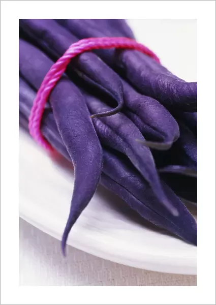 RE_0143. Phaseolus Vulgaris Purple Queen. French Bean. Purple subject. White b / g