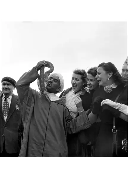 Local man of Morocco holding up a large snake near his mouth to the amusement of a group