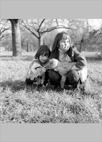 Young girls with spring lambs in Kent. January 1975 75-00492-001