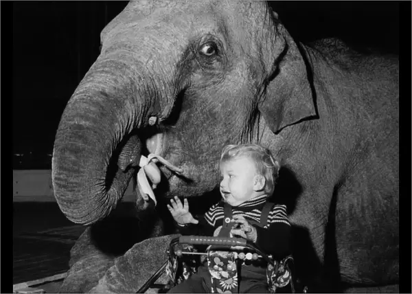 Animals - Children with Elephants. March 1975 P000477