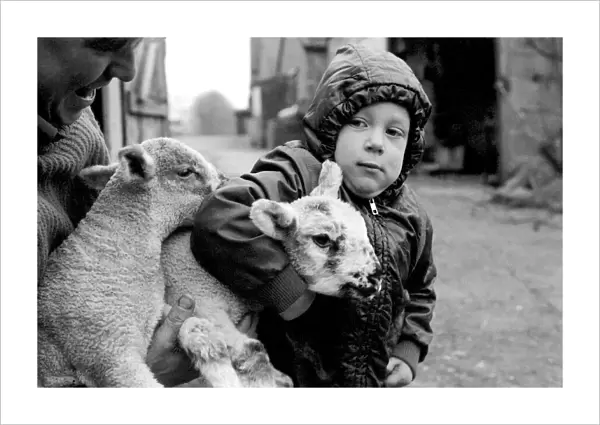 Children  /  Animals  /  Cute. Lambs and Child. December 1976 76-07533-003