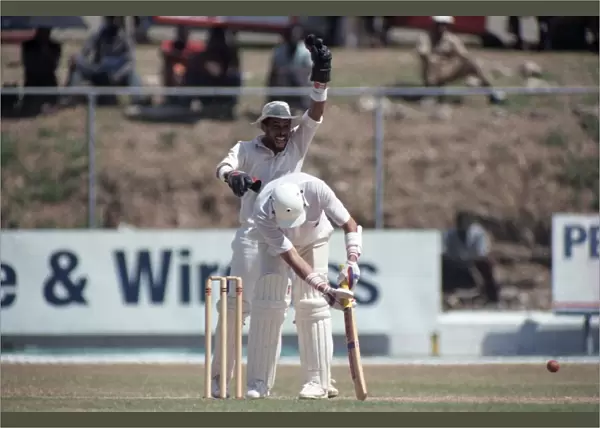 Cricket - Test. England v. Jamaica. February 1990 90-1064A-012 Local Caption