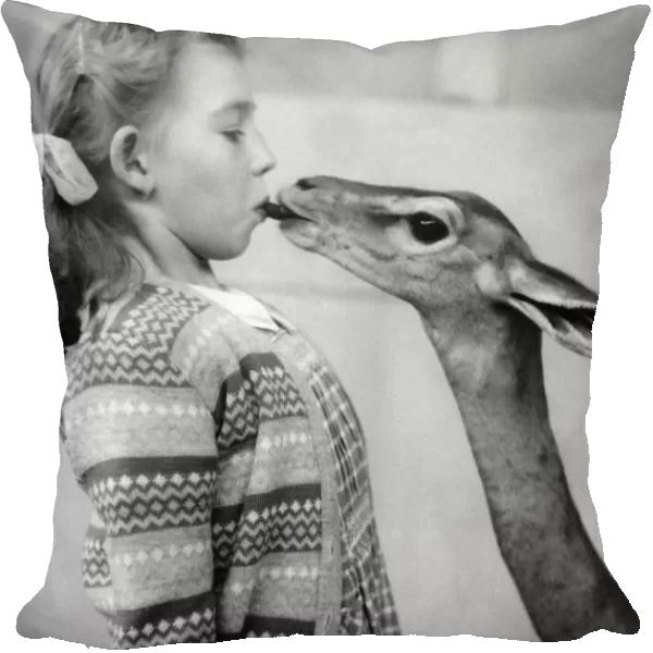 Janette Sparrow, (8), makes friends with a Gerenuk. (A long-necked gazelle)