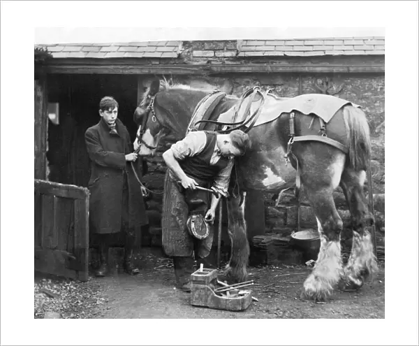 Spiked shoes, to prevent slipping on frozen roads, being fitted at a Blaydon smithy