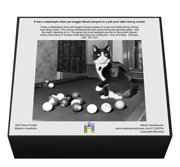 It was a catastrophe when pet moggie Hansel jumped on a pub pool table during a tense