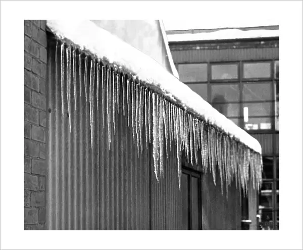 Icicles hanging from a shed room in February 1953