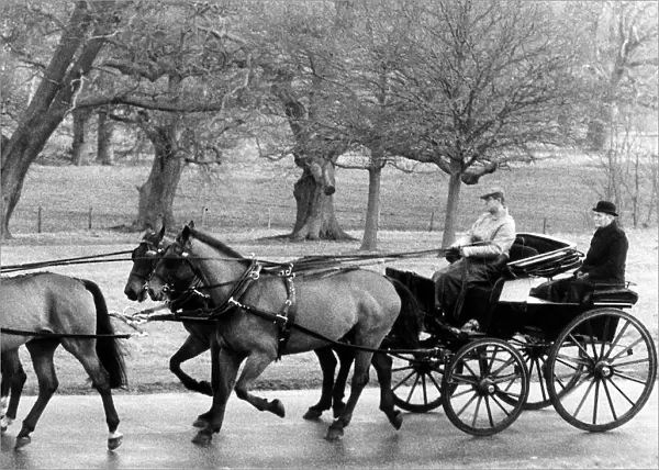Prince Philip driving a horse and carriage through the parks at Windsor