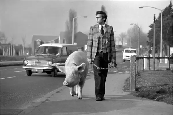 Animals: Humour. Porker Walker. Thorsten Kohrmann with Anna his performing pig between